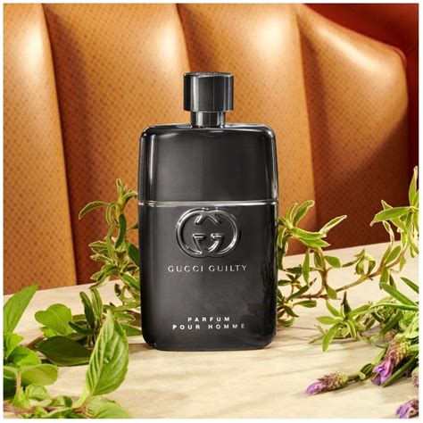 gucci by guilty pour homme|Gucci Guilty Pour homme fragrantica.